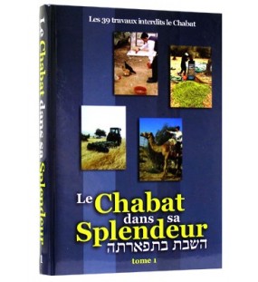 Le Chabat dans sa Splendeur 2 Tomes - Rav Avraham Haïm Hadès